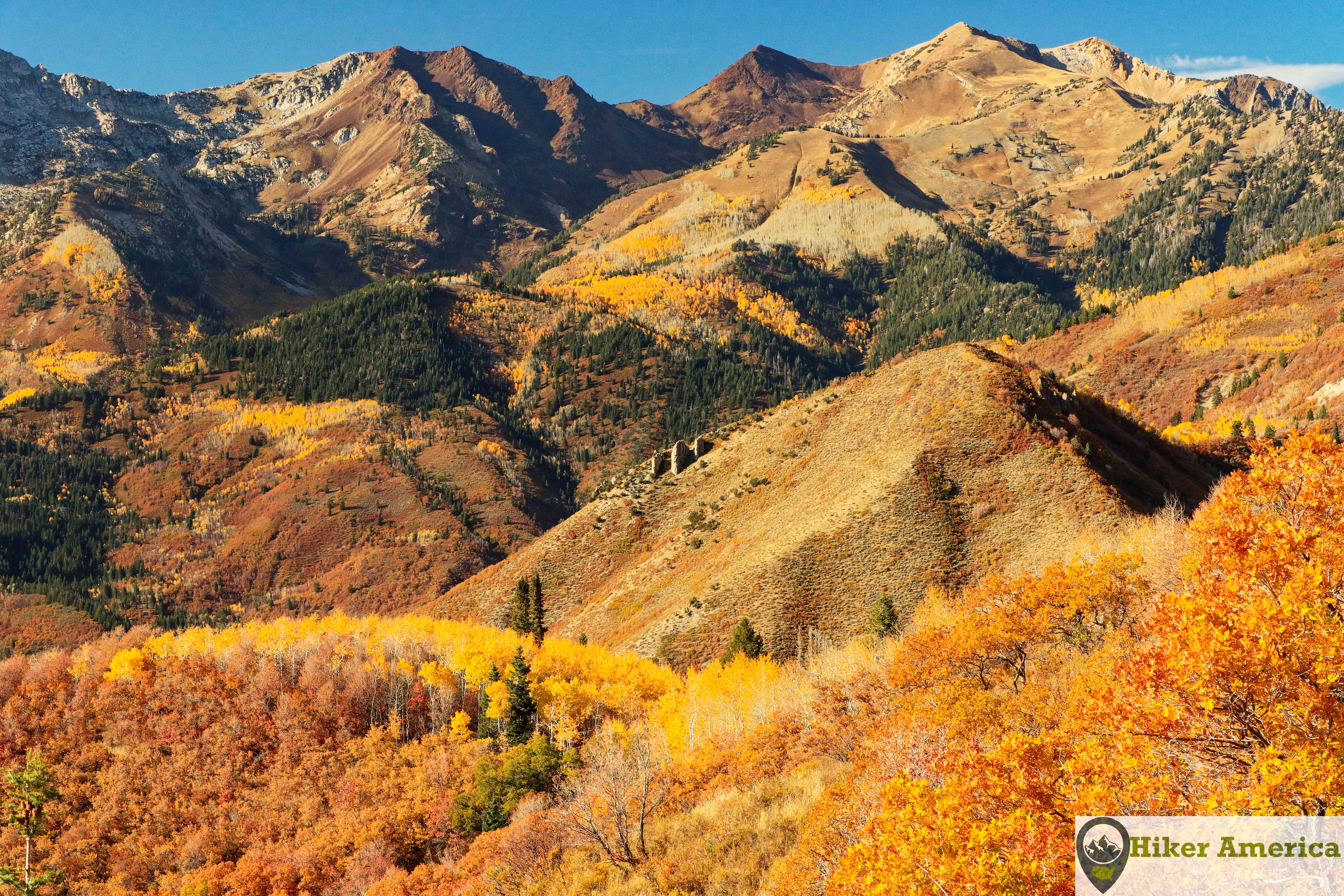 Uinta-Wasatch-Cache-National-Forest hiking trails and natural features